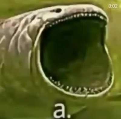 a.