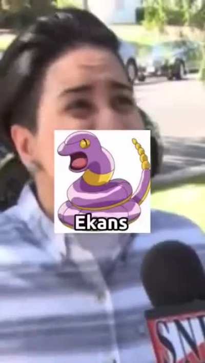 Dinosaurs and ducks