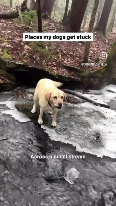 What a beautiful little idiot