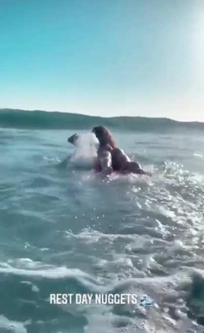 Surf&rsquo;s Up
