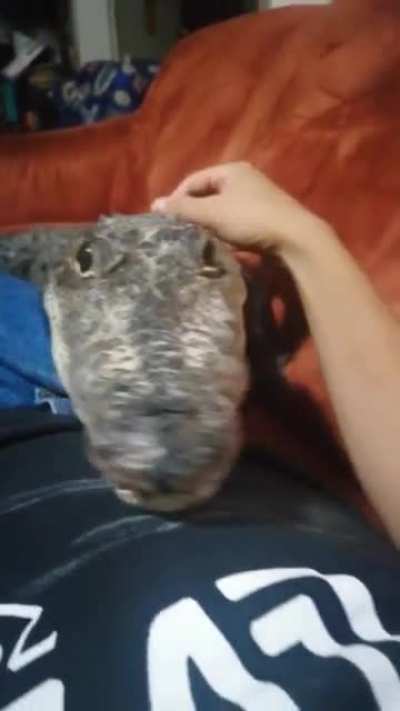 Maybe maybe maybe