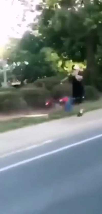 Just Walking The Parrots . . Credit: @viralanimalstv