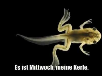 ich🥂iel