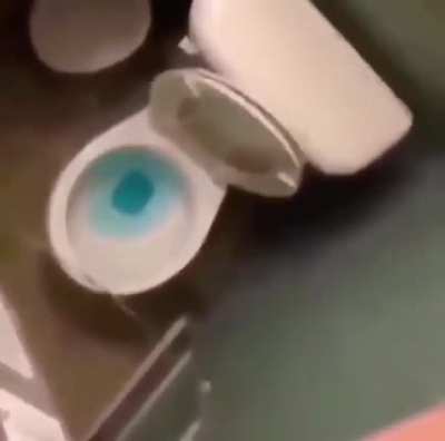 ese culo vota caca