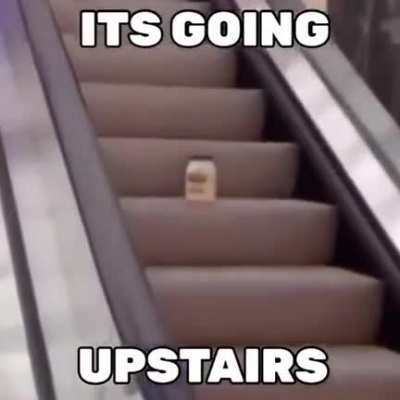 MAYONNAISE!!!!!