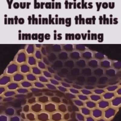 Crazy