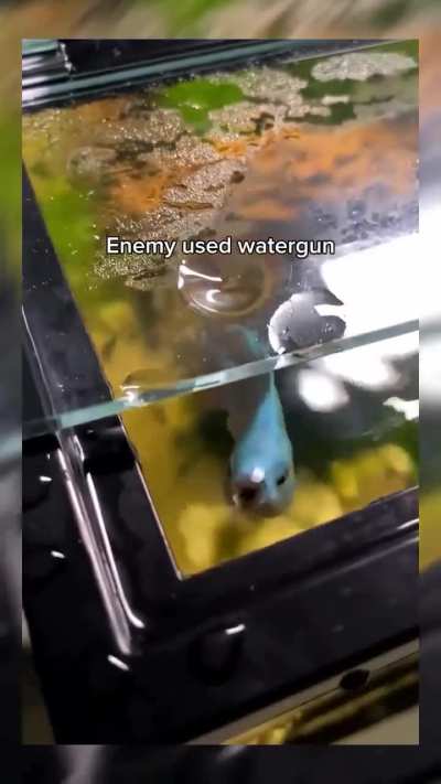 😂😂