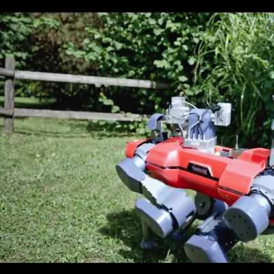 Water and robots typically don't mix... Lucky, that's exactly the case for ANYmal. Observe the autonomous species in its natural habitat&mdash;which just might be anywhere!