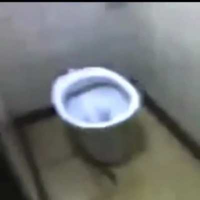 Holy shitter