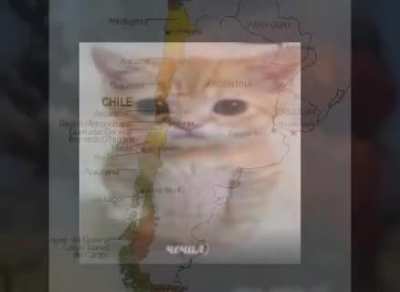 Odio chile🤬
