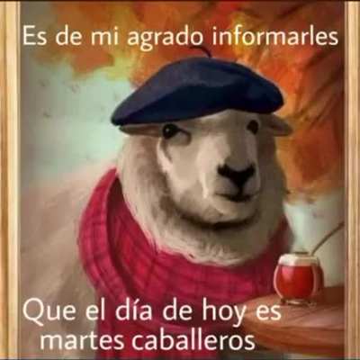 😎
