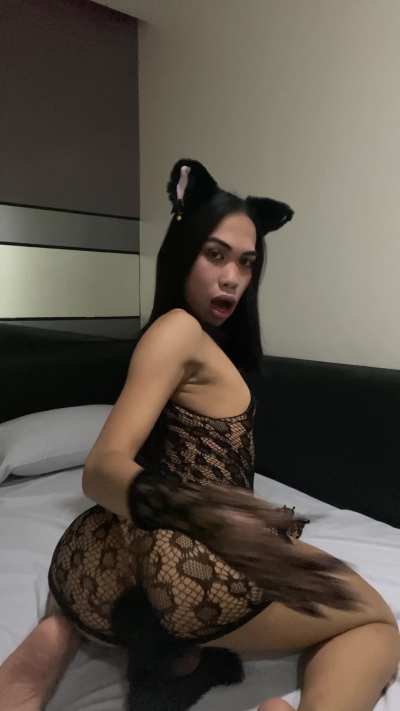 can I be ur bussy cat?
