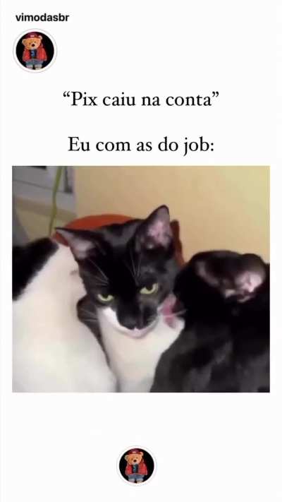 EU NO DIA 14 😎