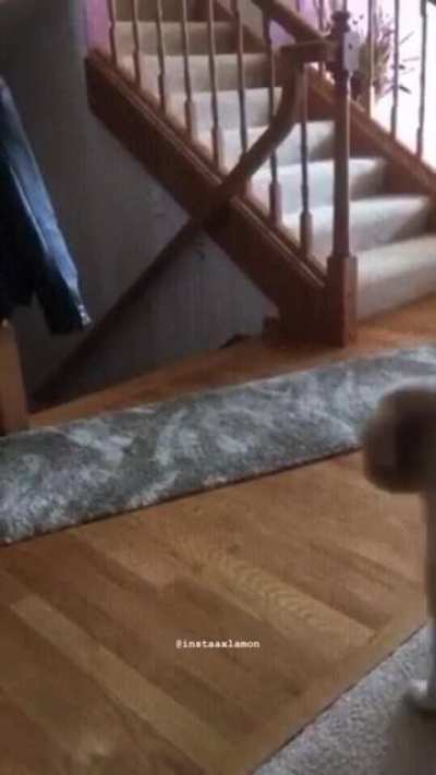 Aaaaahhh...!