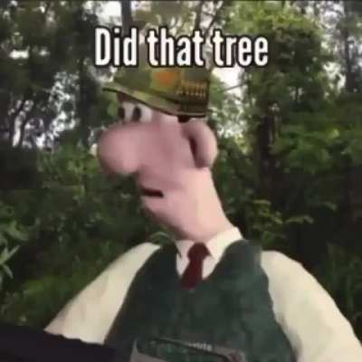 THE TREE INCIDENT😳‼