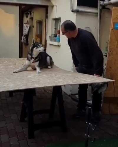 This guy is so not going to get any work done