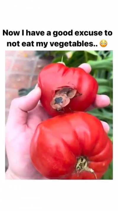 "Thanks, I hate vegetables🤢"