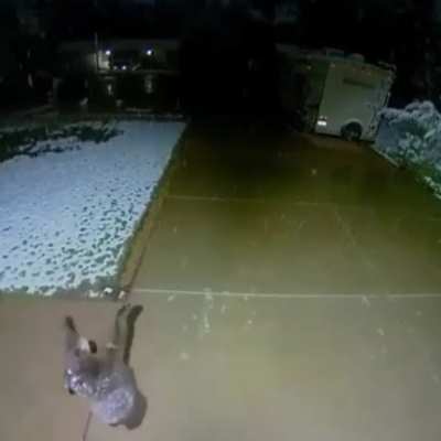 Little fella&rsquo;s trying to catch the snow!