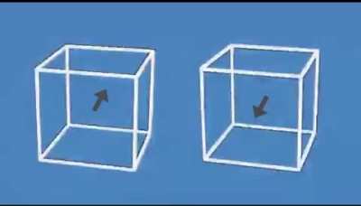 These boxes are motionless