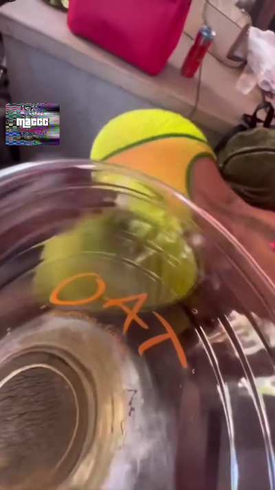 Throwing It 