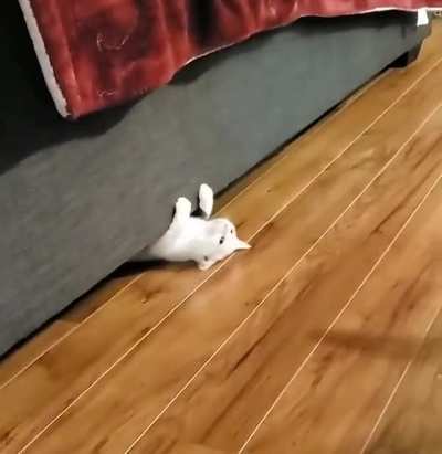 Этот выход просто идеальный