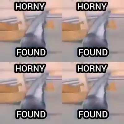 HORNY DETECTED