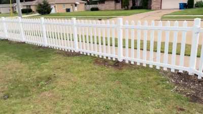 Finished Fence
