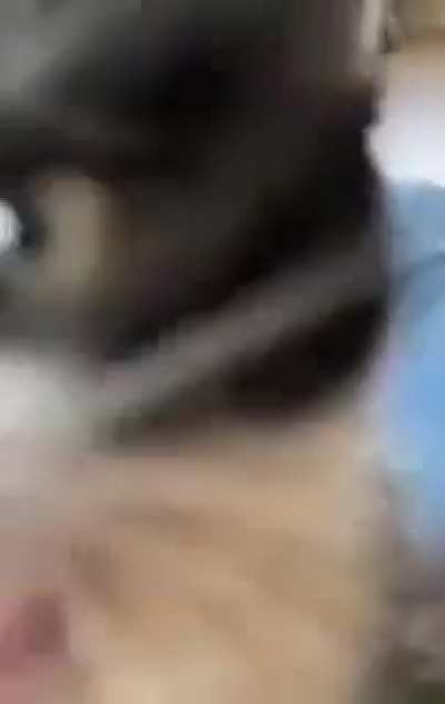 You Pepsi
