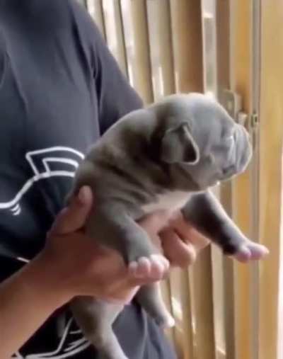 That&rsquo;s a big yawn