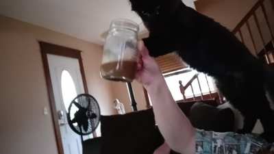 Morning drink - his face is too big