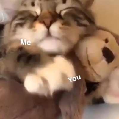Need me a cutie...