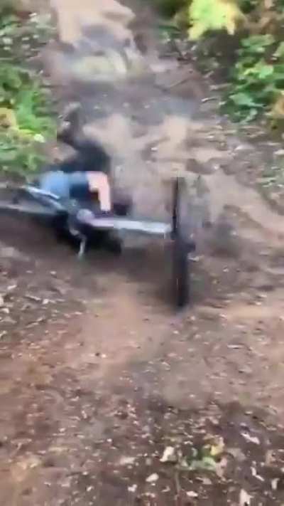 Forest rider