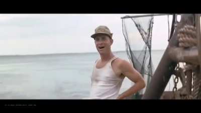 Barry Gump Shrimp