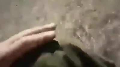 wait for it