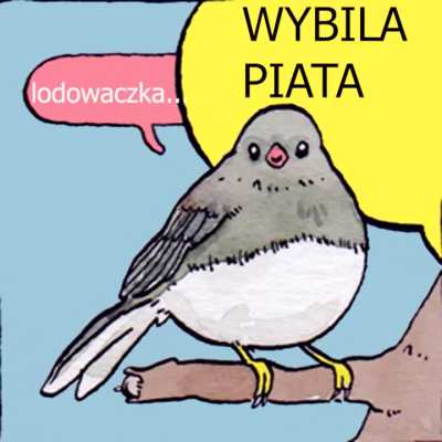 Ja kiedy piątek