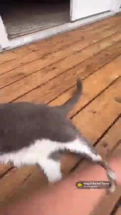 hyup... yep.... myup... m'hm