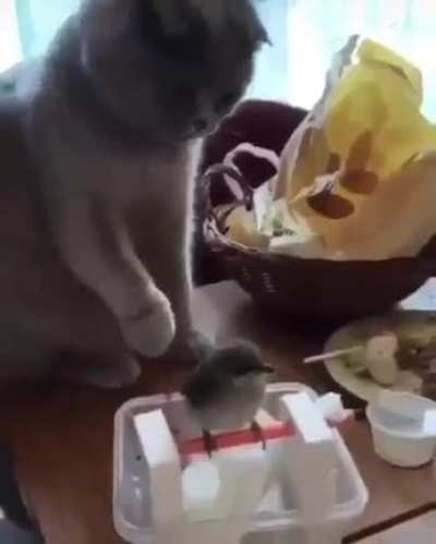 Maybe Maybe Maybe