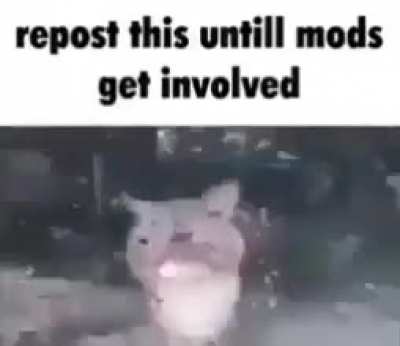 First post