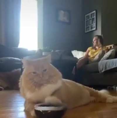 Pure majesty