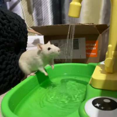 Moons first shower