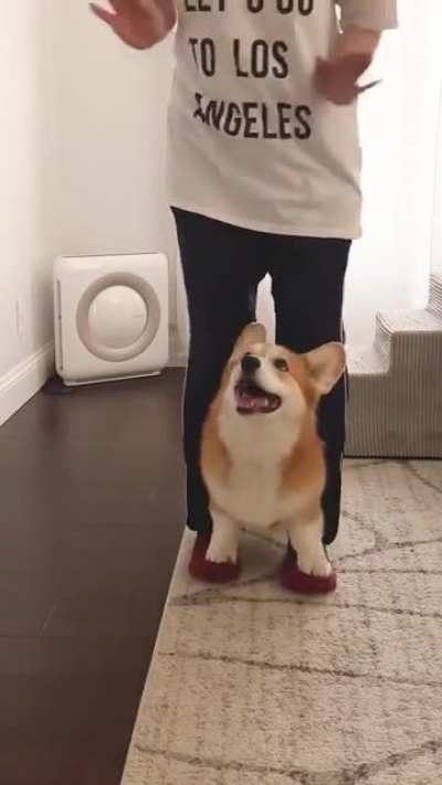 Dan&ccedil;a :)