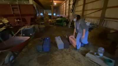 Spring is here, time for TNR! 2 nights ago I caught a colony of 6 feral cats living in a barn, this is the release after they came back from surgery. Not a lot of action in the clip but it&rsquo;s a glimpse of a typical TNR release. Always keep the cats covered