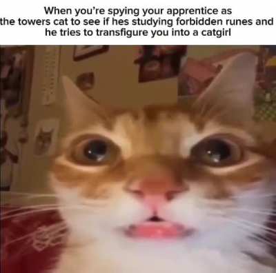 Catgirl
