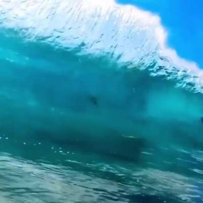 these beautiful waves.