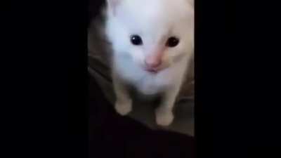 Hi Herbert