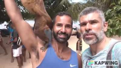 A video found in the wild about monkeys interacting with people in Len&ccedil;&oacute;is Maranhenses - Brazil