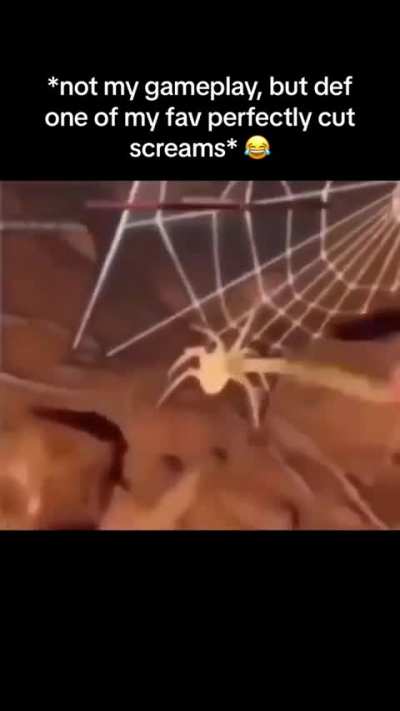Die you spid-
