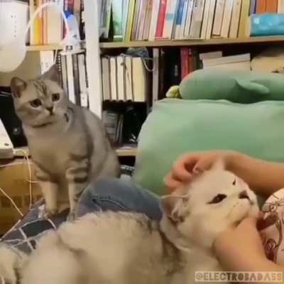 Предатели ебаные
