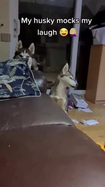 Are you mocking me