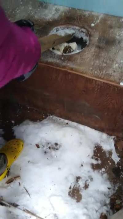 This is really gross so watch at your own risk. In Alaska, poop freezes instantly which forms a tower that has to be knocked down.